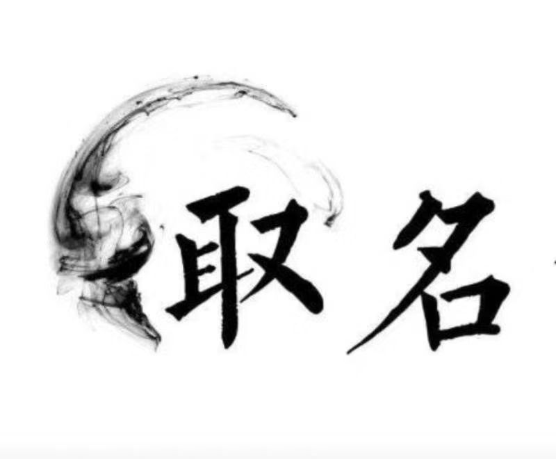  九龙宝宝取名 大师一对一人工起名